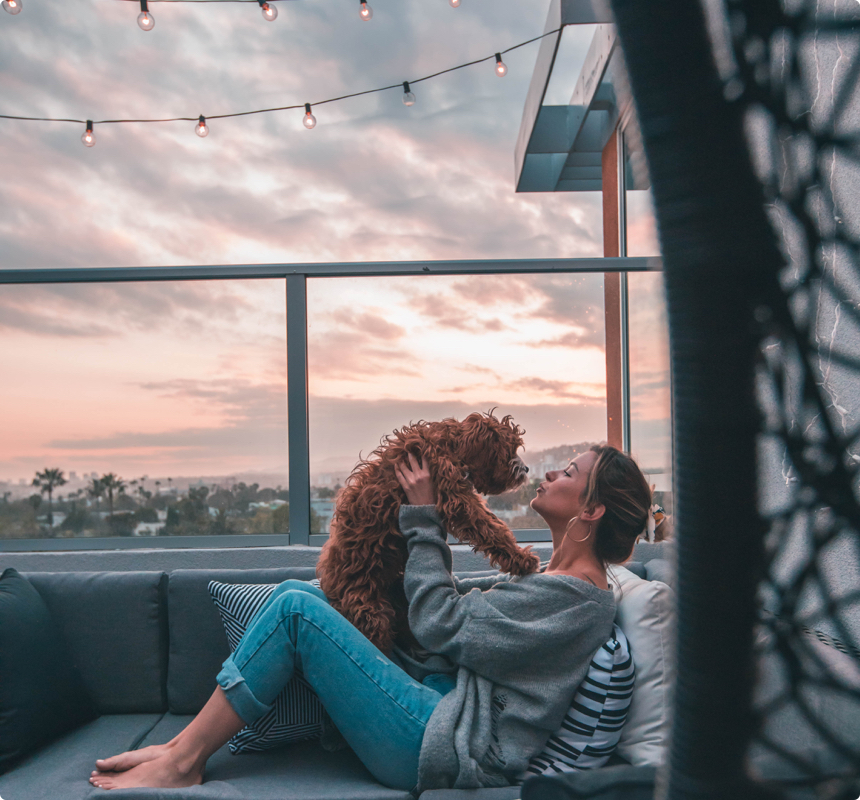 Three Tempting Reasons for House Sitting in Auckland The