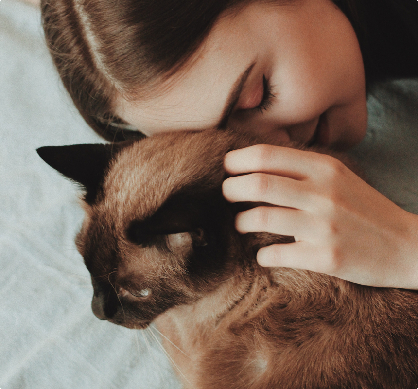 pet sitters Tauranga