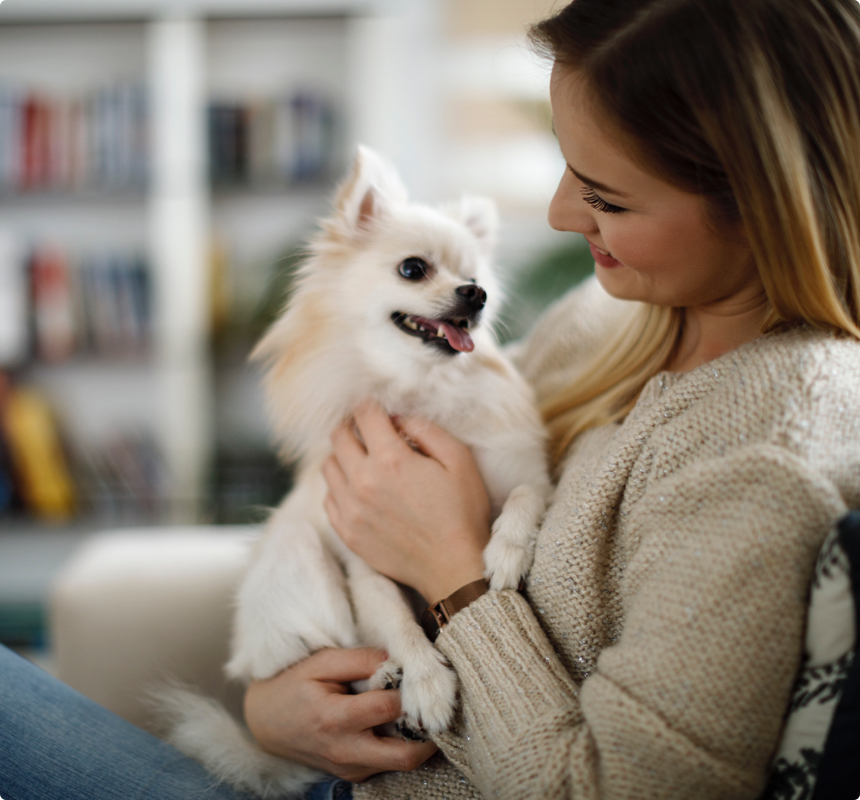 pet sitters Waikato