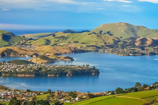 Dunedin