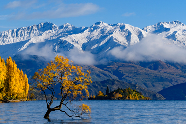 Wanaka