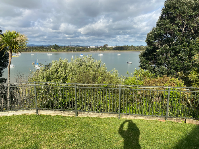 beach haven,auckland