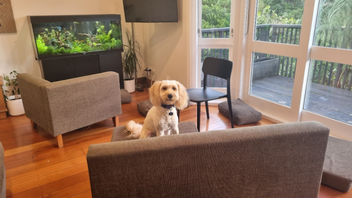 ngaio,wellington city