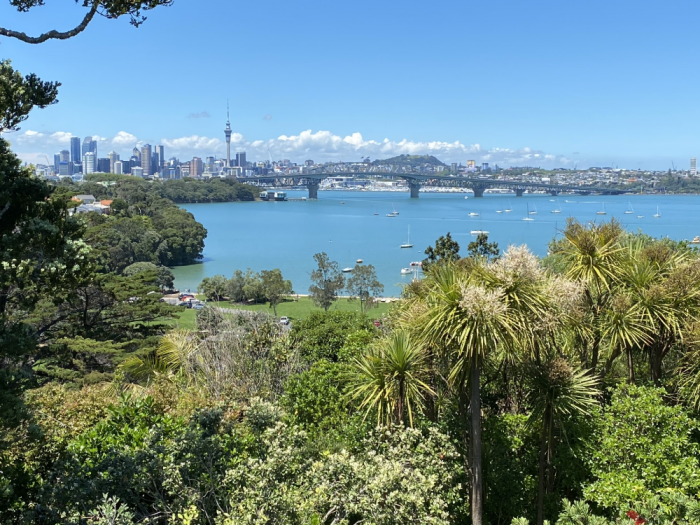 northcote,auckland
