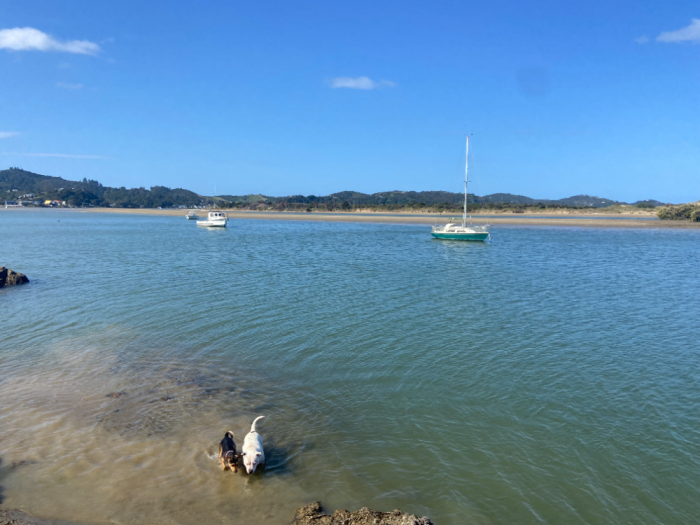 ngunguru,whangarei