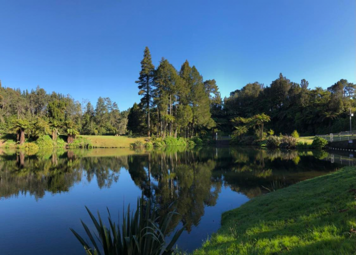 lower kaimai,tauranga