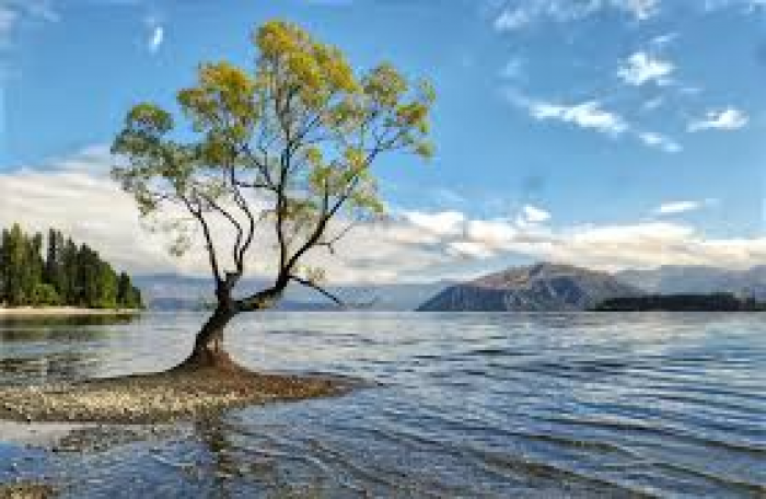 albert town,wanaka